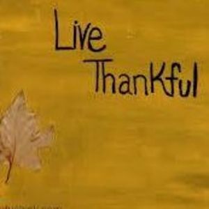 Meet your Posher, Cynthia